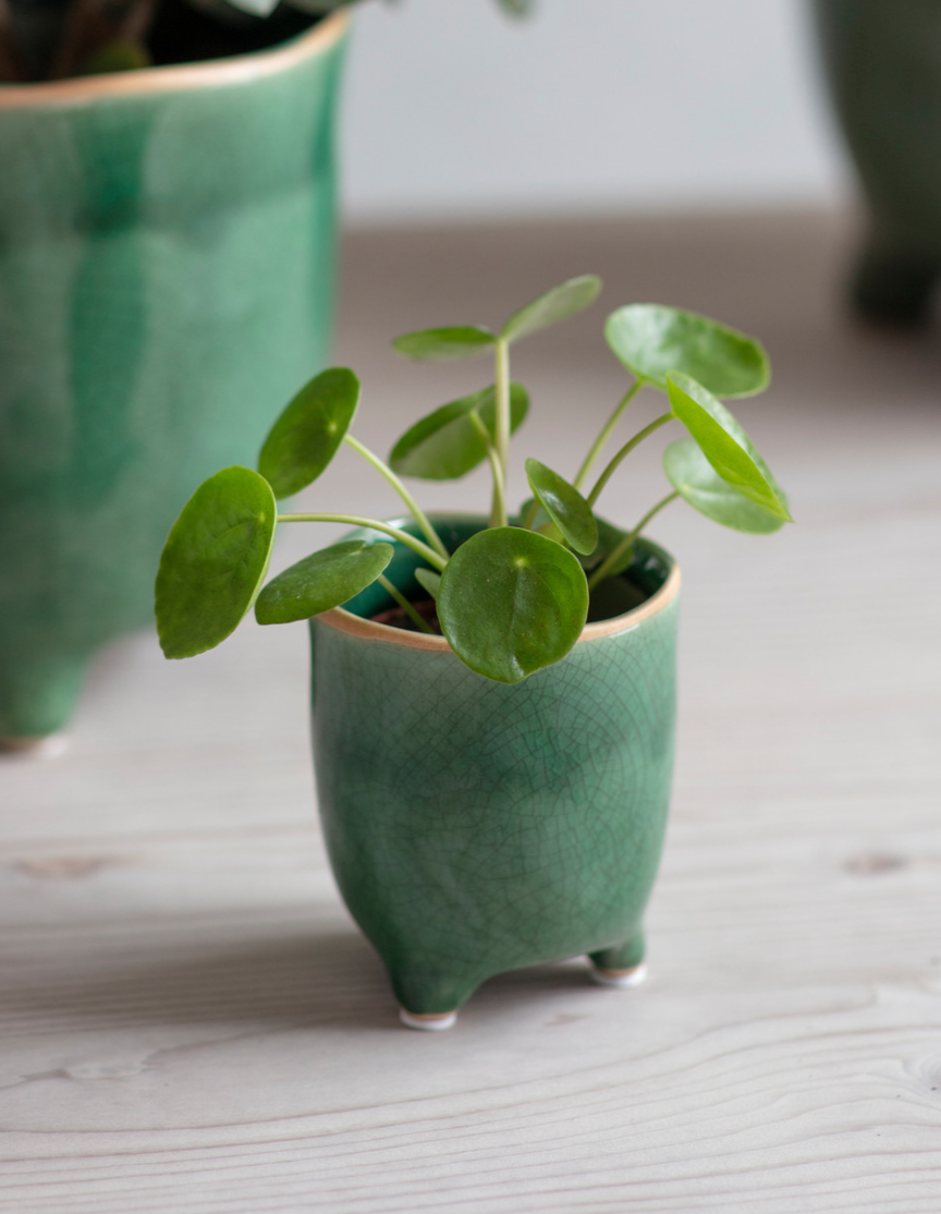 Positano Pot