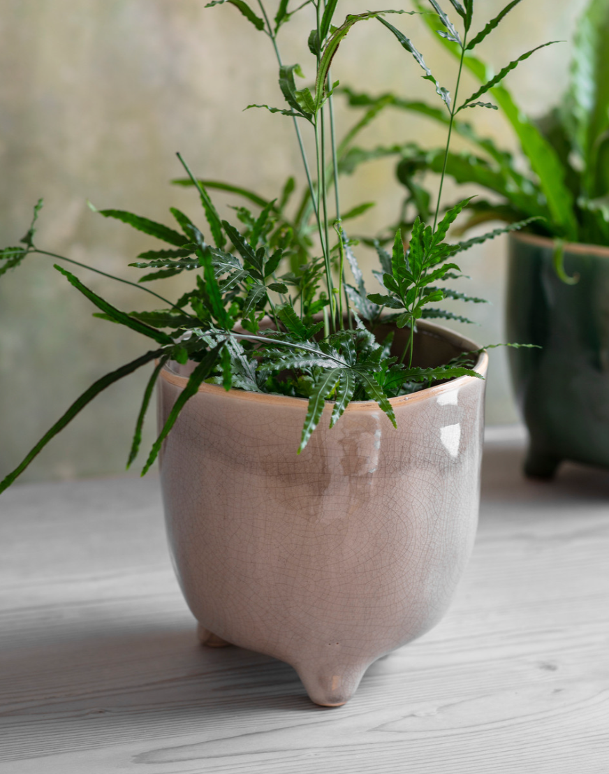 Positano Pot