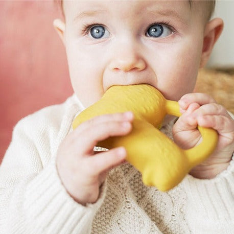 Richie Lion Chewable Teether
