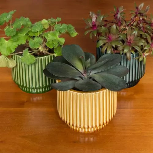 ridged plant pot Ridged Plant Pot | Mustard / Green