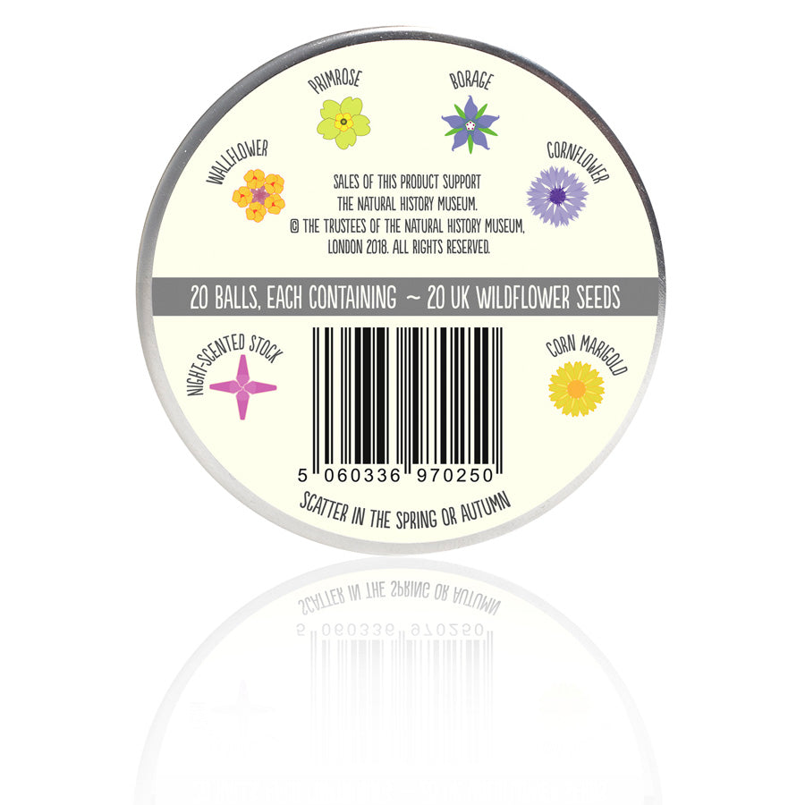 The Every Space Bat Mix Seed tin of 30 wildflower seeds by Seedball