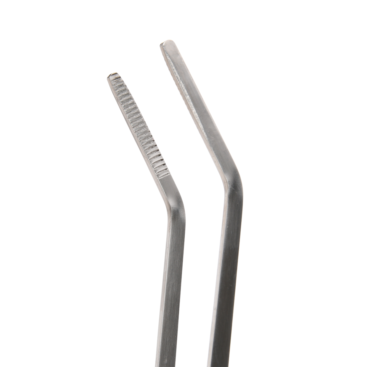 Terrarium Tweezers