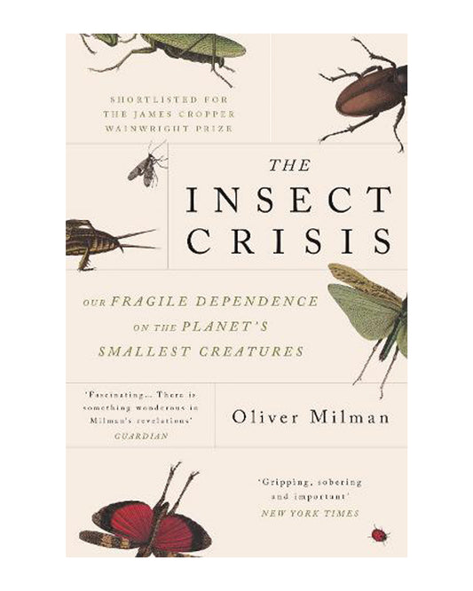 The Insect Crisis