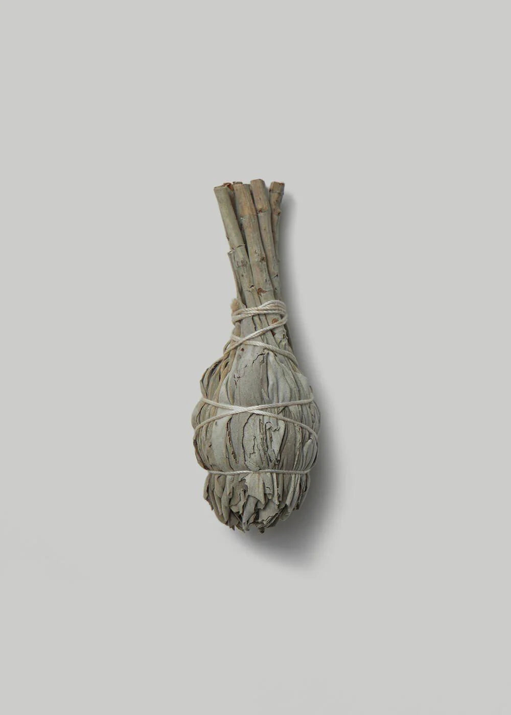 Bundled white sage on a grey background
