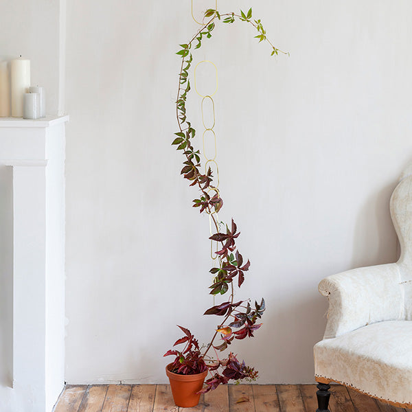 Brass Support For Climbing Plants