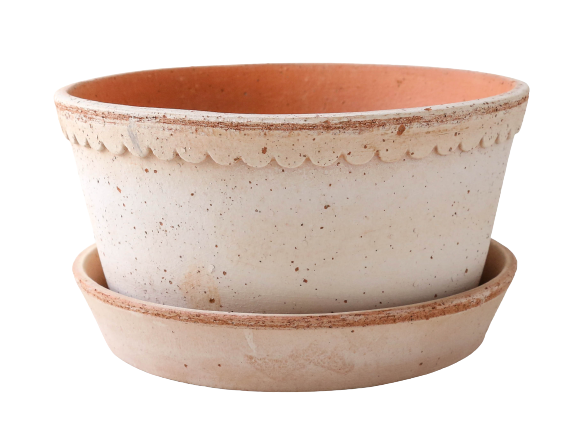 Bergs Helena rose raw pot