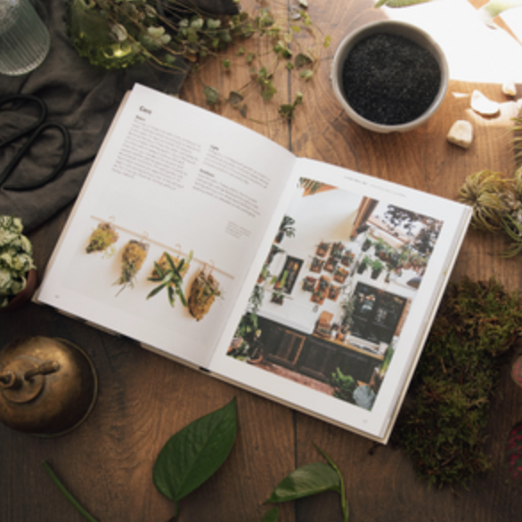 How To Plant A Room And Grow A Happy Home