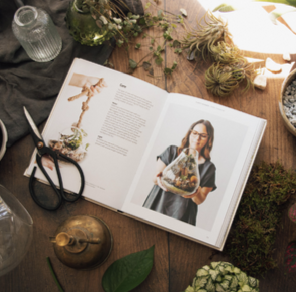 How To Plant A Room And Grow A Happy Home