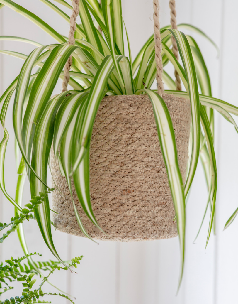 Hanging Woven Plant Pot | Ø16.5cm