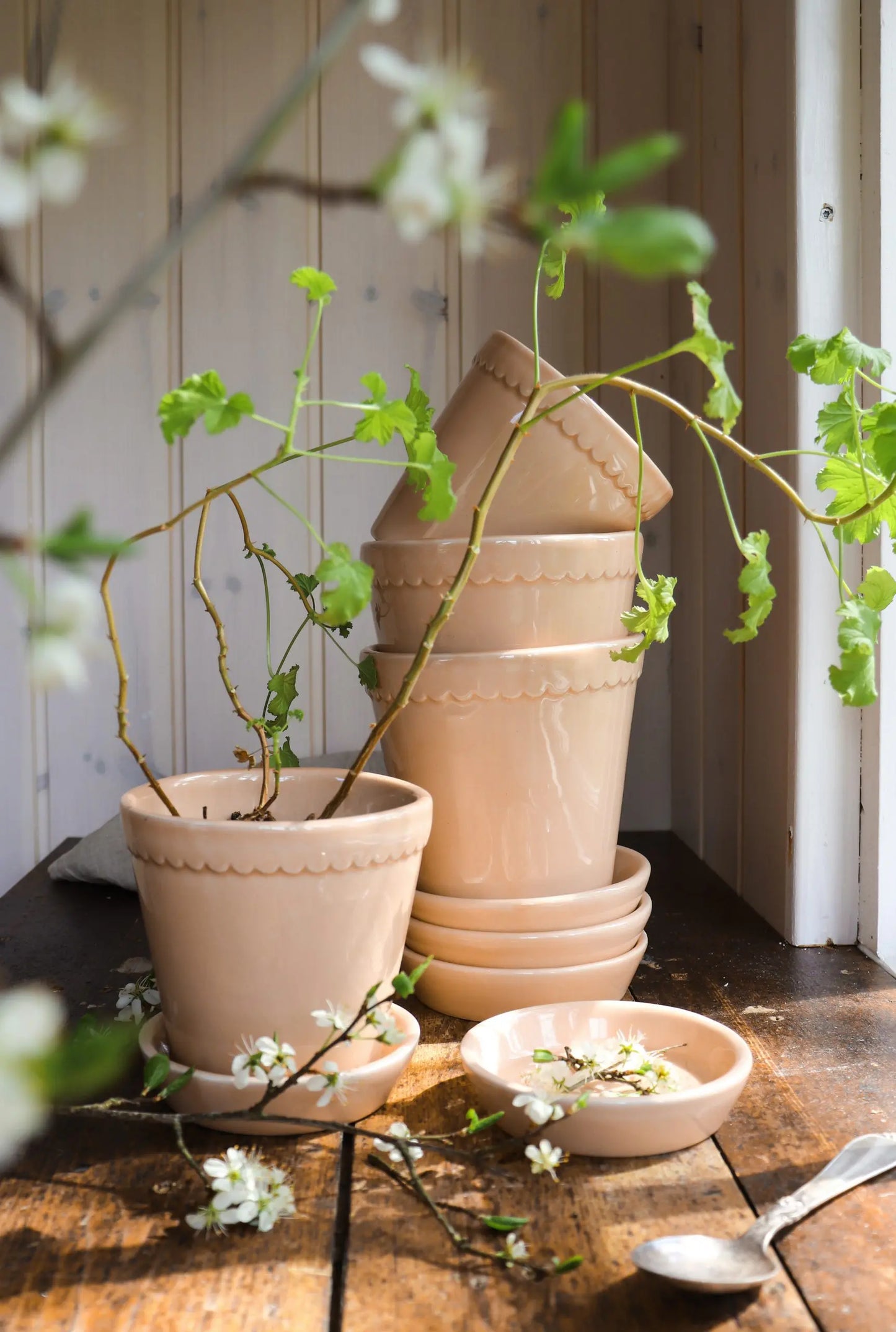 Helena Pot in Glazed Rose