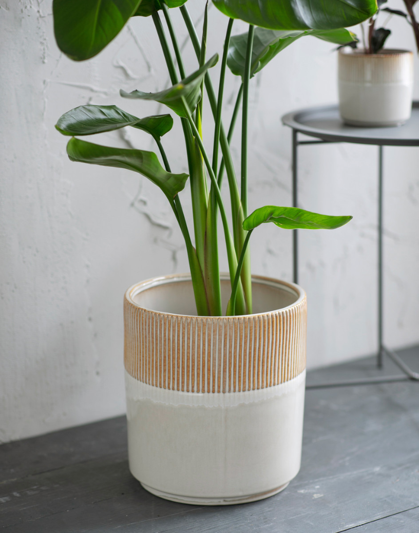 Hillesley Pot
