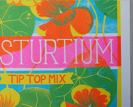 Nasturtium Risograph Print
