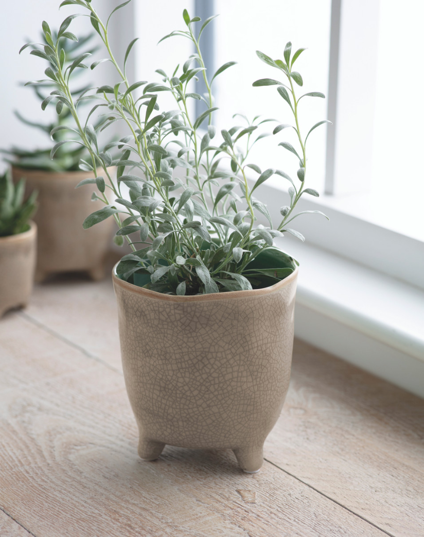 Positano Pot | Ø7.2cm, Ø13.5cm, Ø20cm| Forest Green / Soft Stone