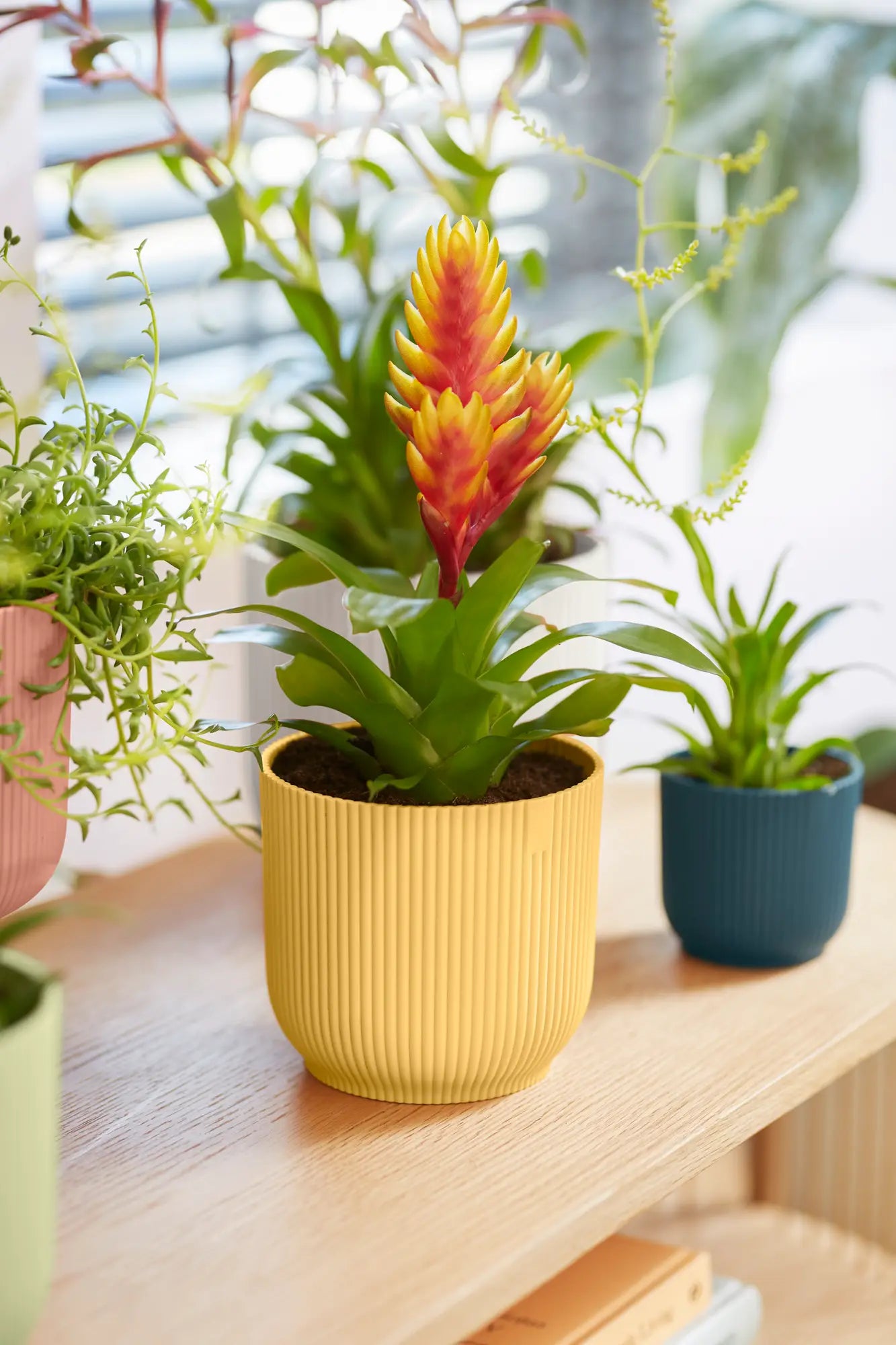 Vibes Plant Pot in Recycled Plastic by Ehlo
