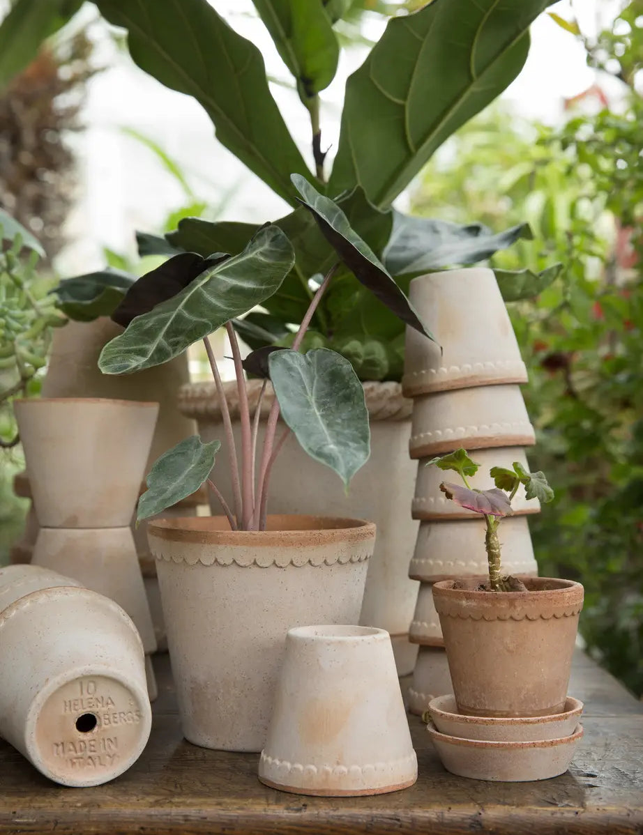 Plant Pots