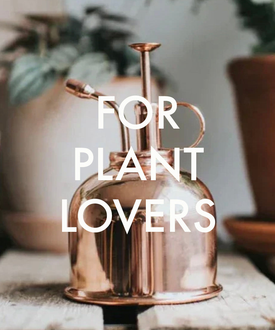 Gifts For Plant Lovers