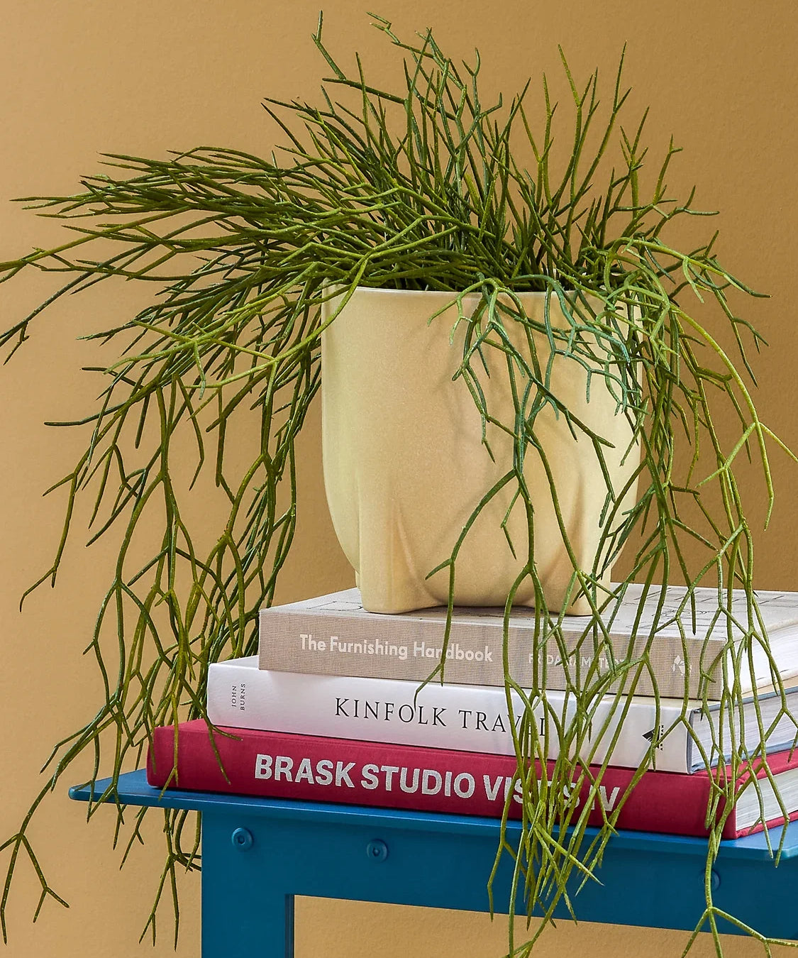 Ceramic Plant Pots