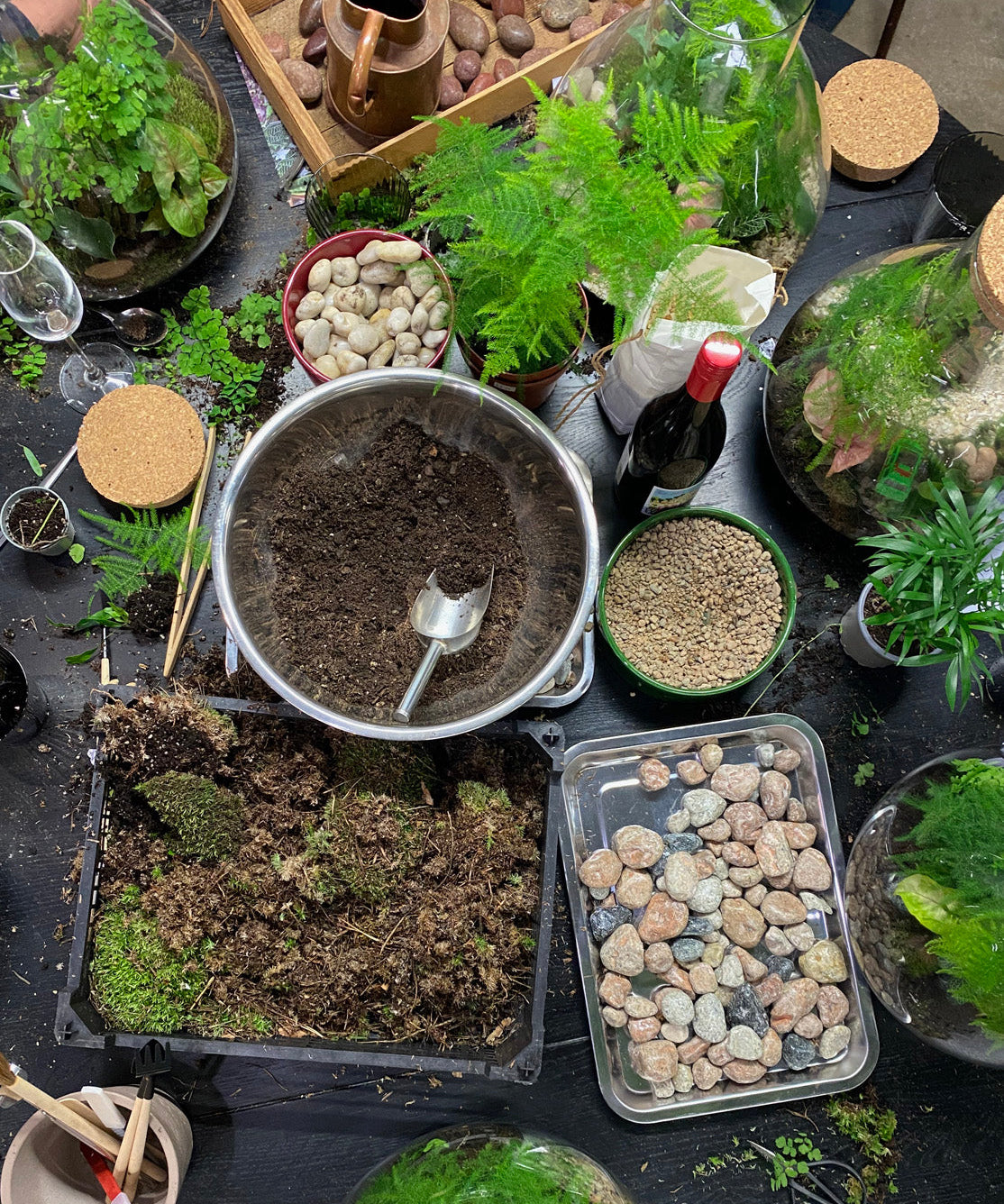 Houseplant & Terrarium Workshops