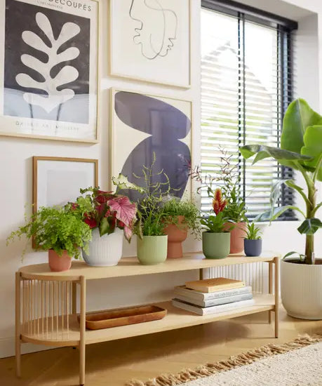 Recycled Plastic Pots
