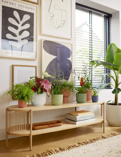 Recycled Plastic Pots