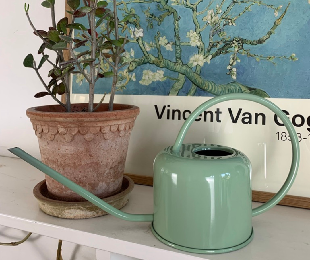 Watering Can 0.9L