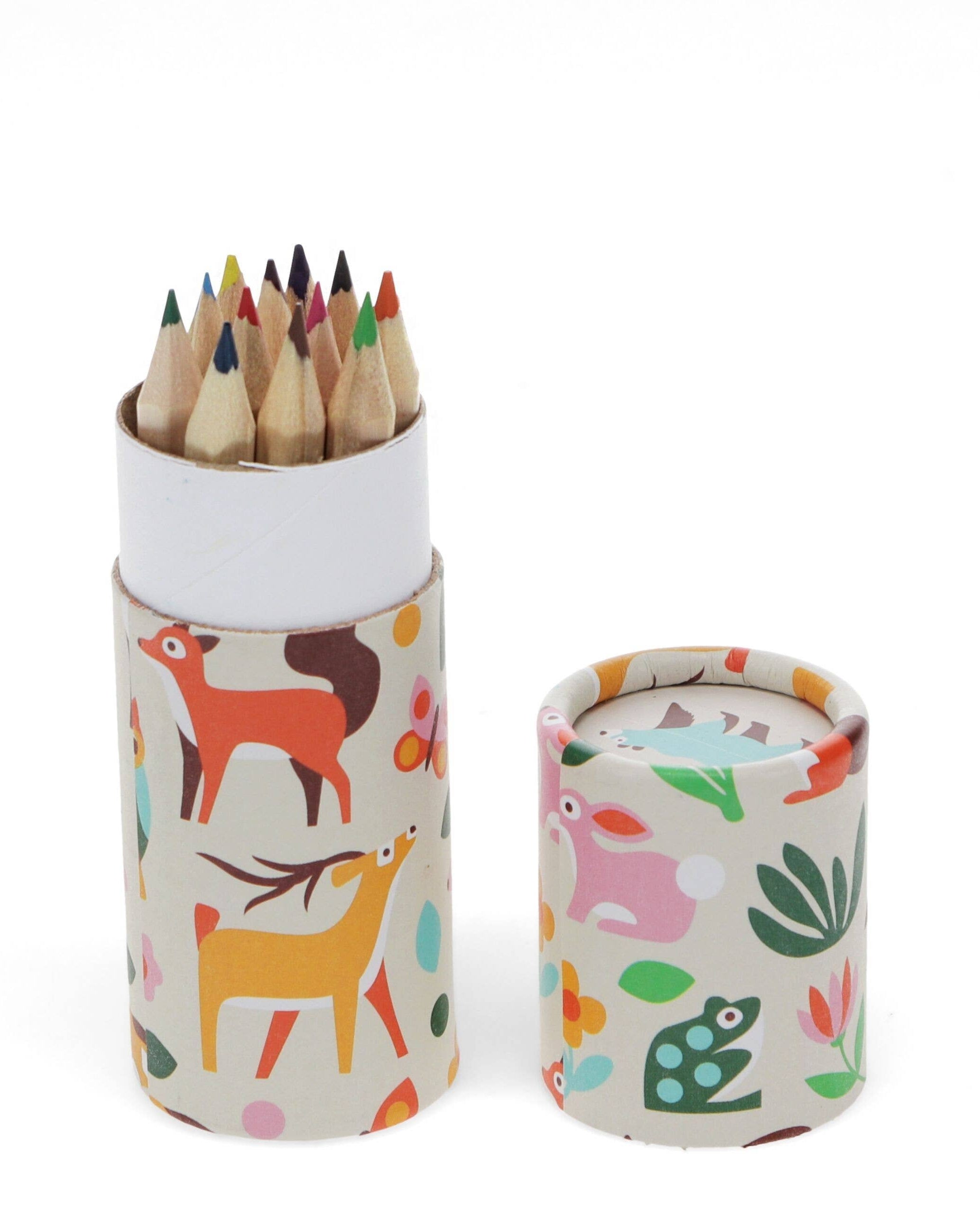 Tube of Colouring Pencils | Woodland