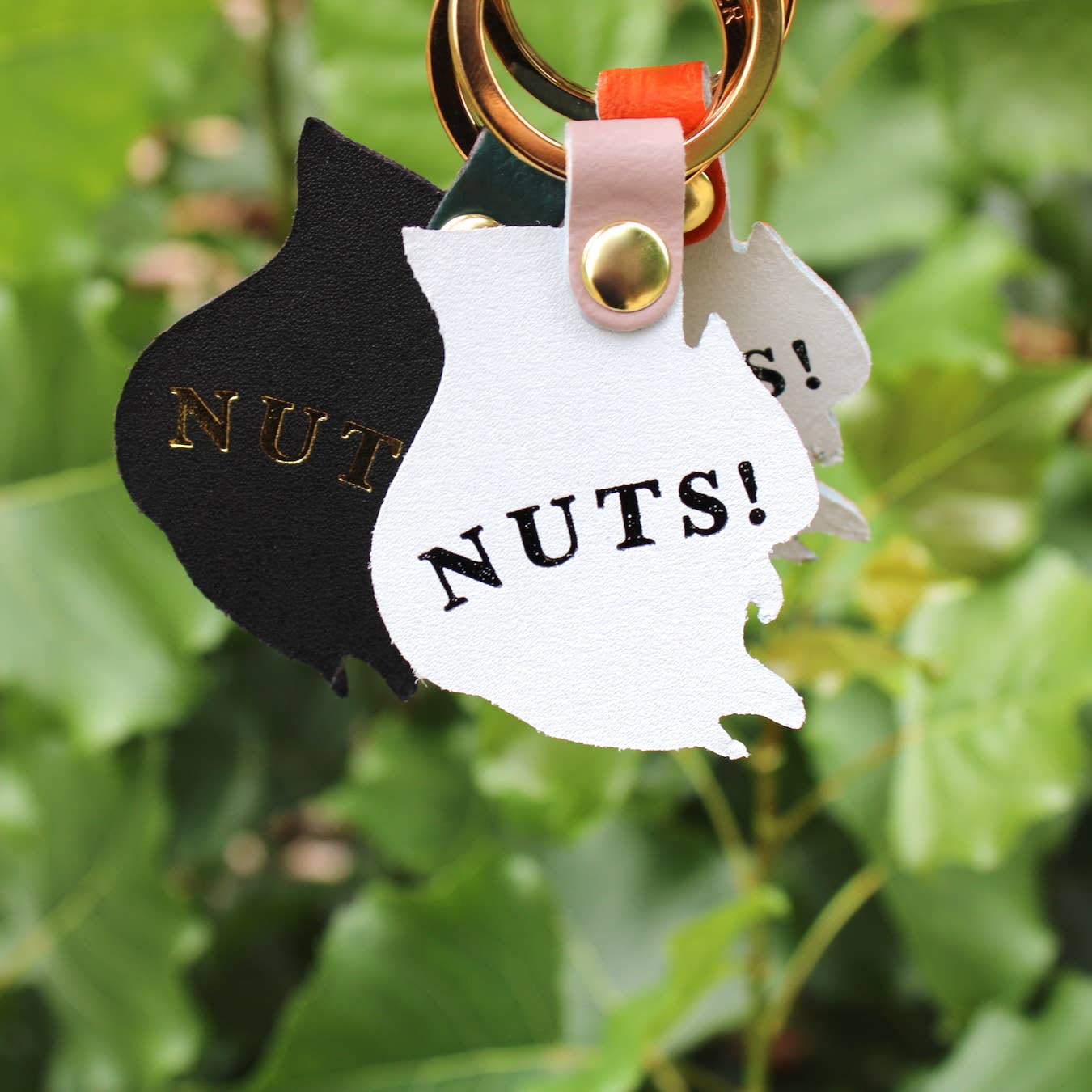 Nuts! | Squirrel Keyring