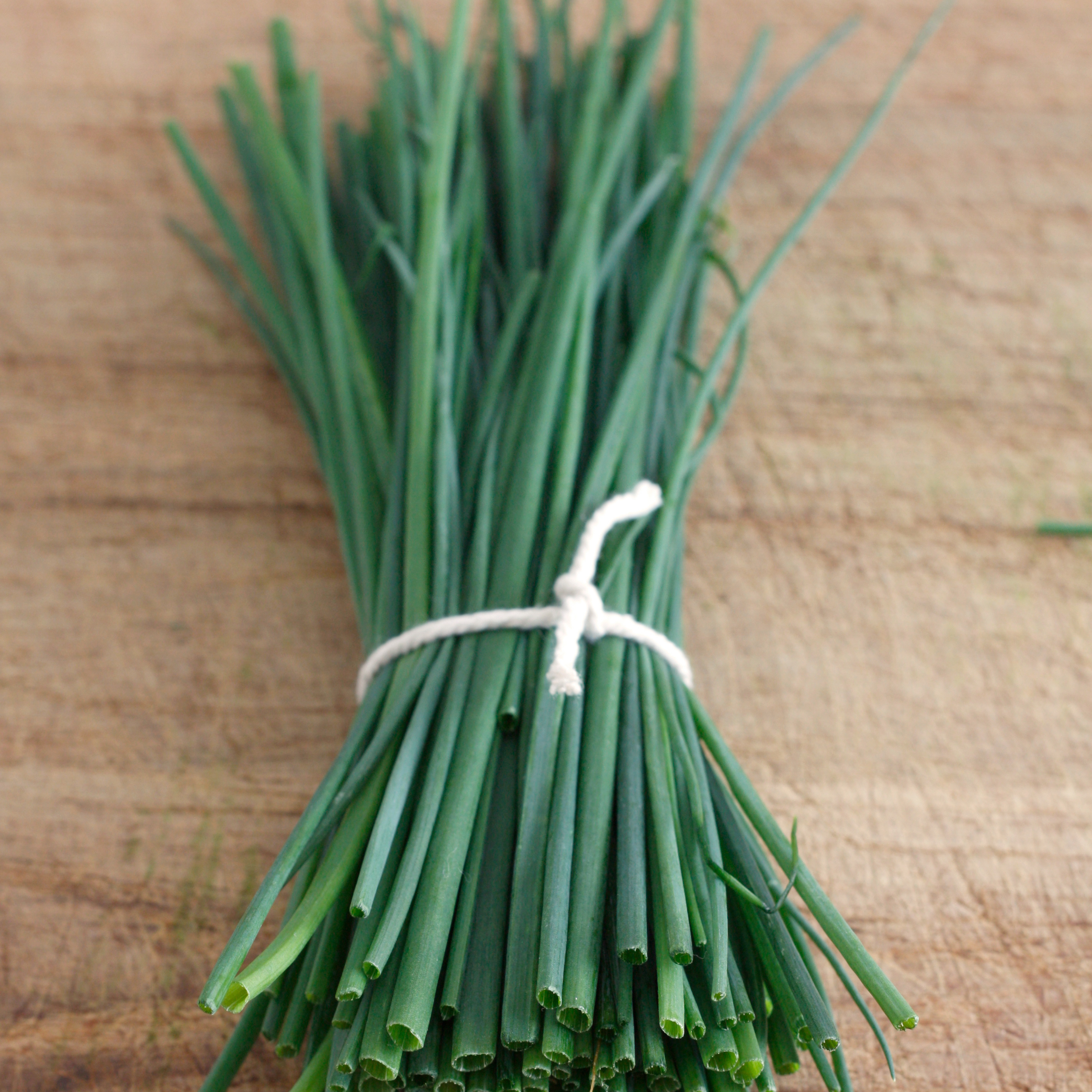 Chives Fine Leaf