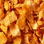 Morn'n Glory | 60% Dark Chocolate Bar (Vegan)