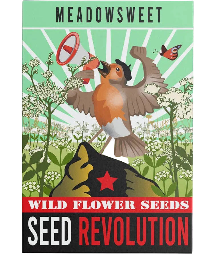 Seed packet design with a bird and flowers, labeled 'Meadowsweet Wild Flower Seeds Seed Revolution'.