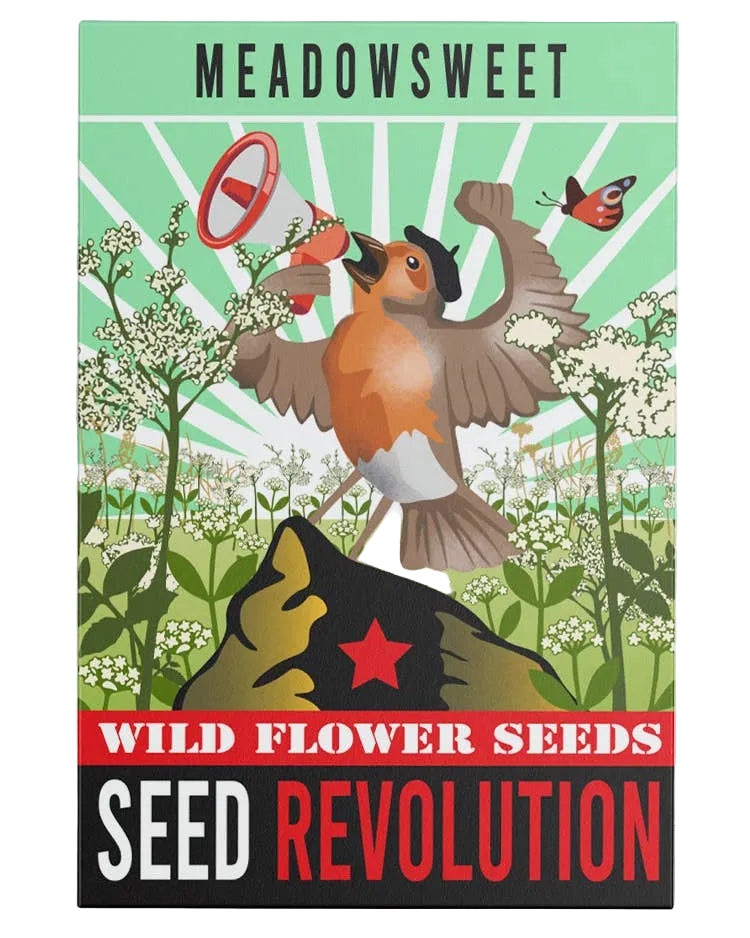 Seed packet design with a bird and flowers, labeled 'Meadowsweet Wild Flower Seeds Seed Revolution'.