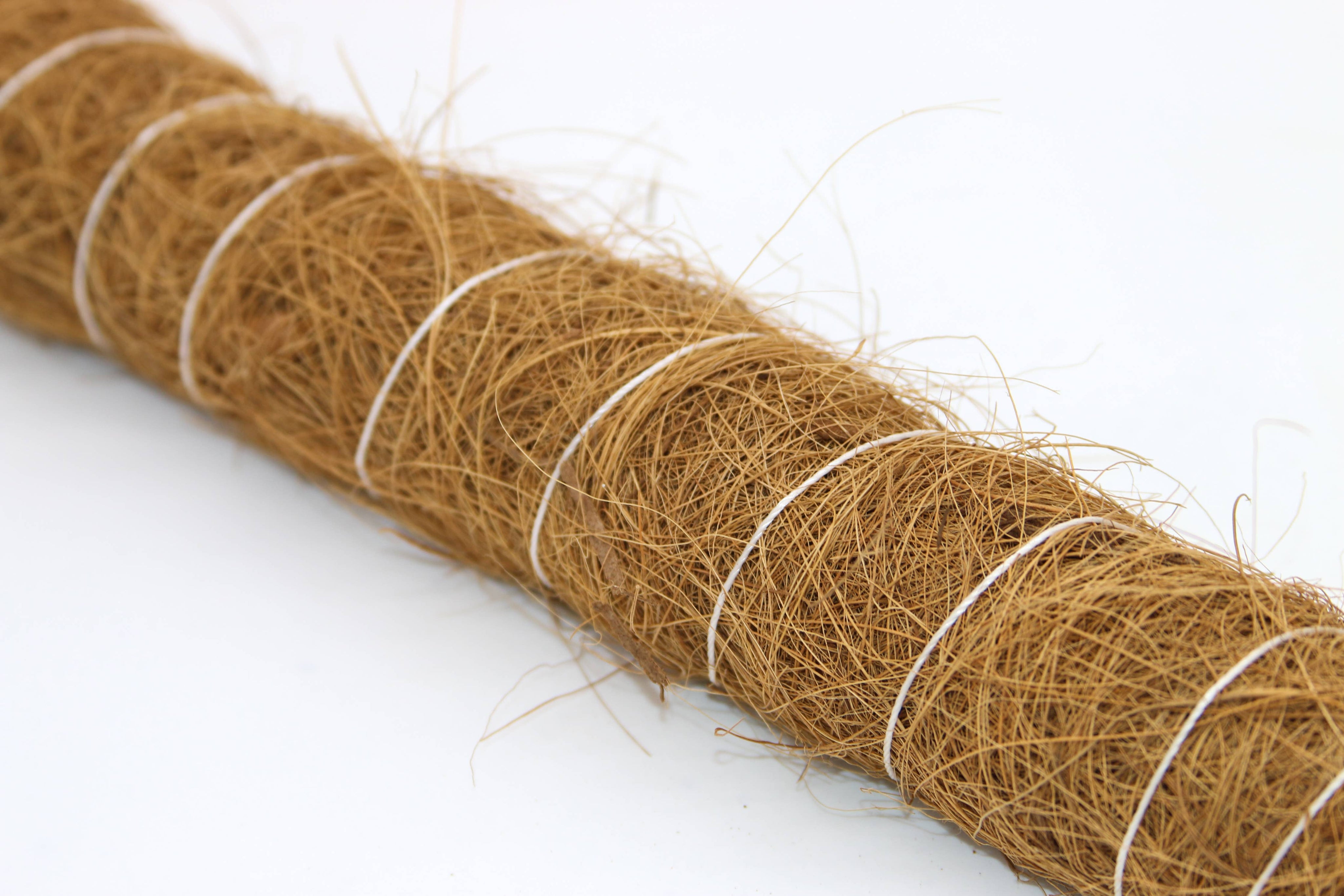 Support Pole for Plants |  Growpoles | Monstera poles