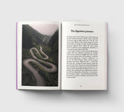 The Gut, A Pocket Primer