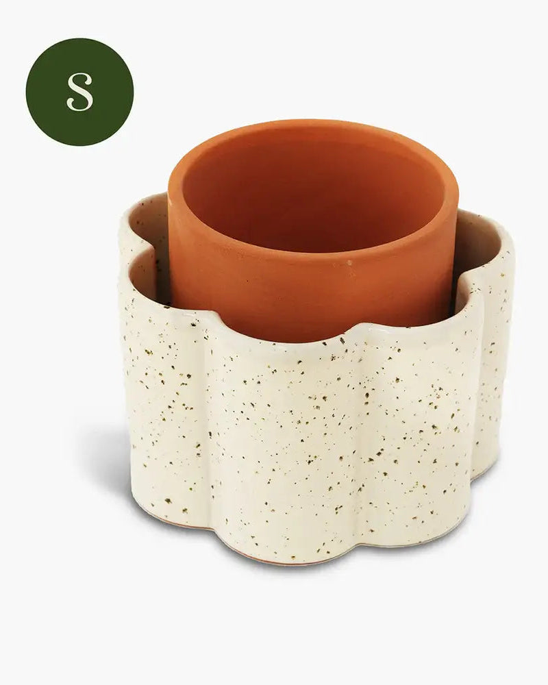 Self-Watering Pot | Paulita | Small Speckled white