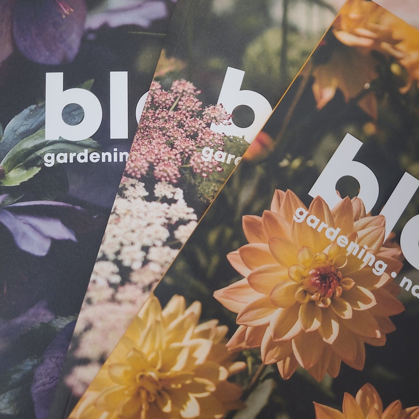 Bloom Magazine : Back Copies