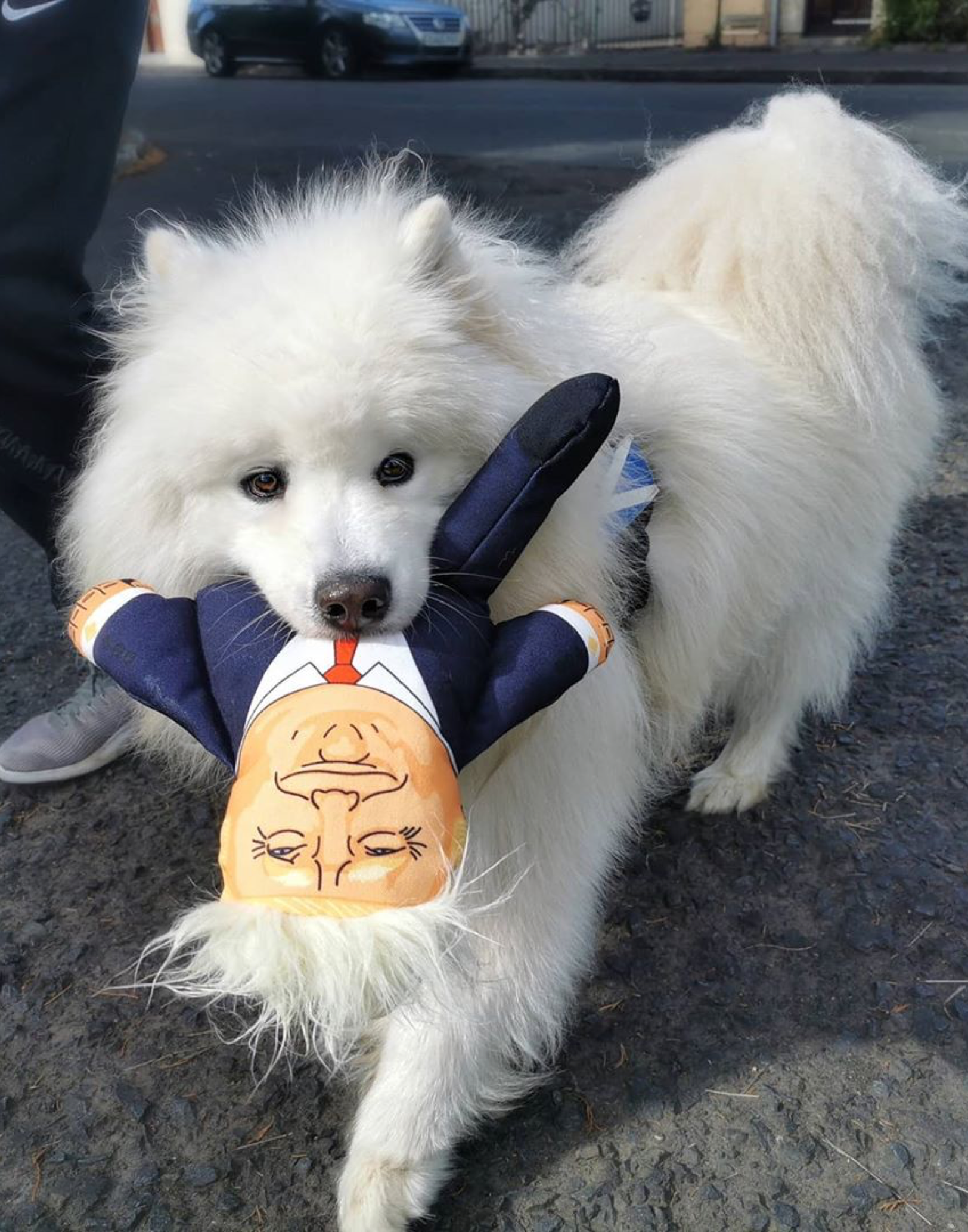 Donald Dog Toy