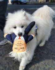 Donald Dog Toy