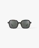 Sunglasses #OFFICE ‘Tortoise’