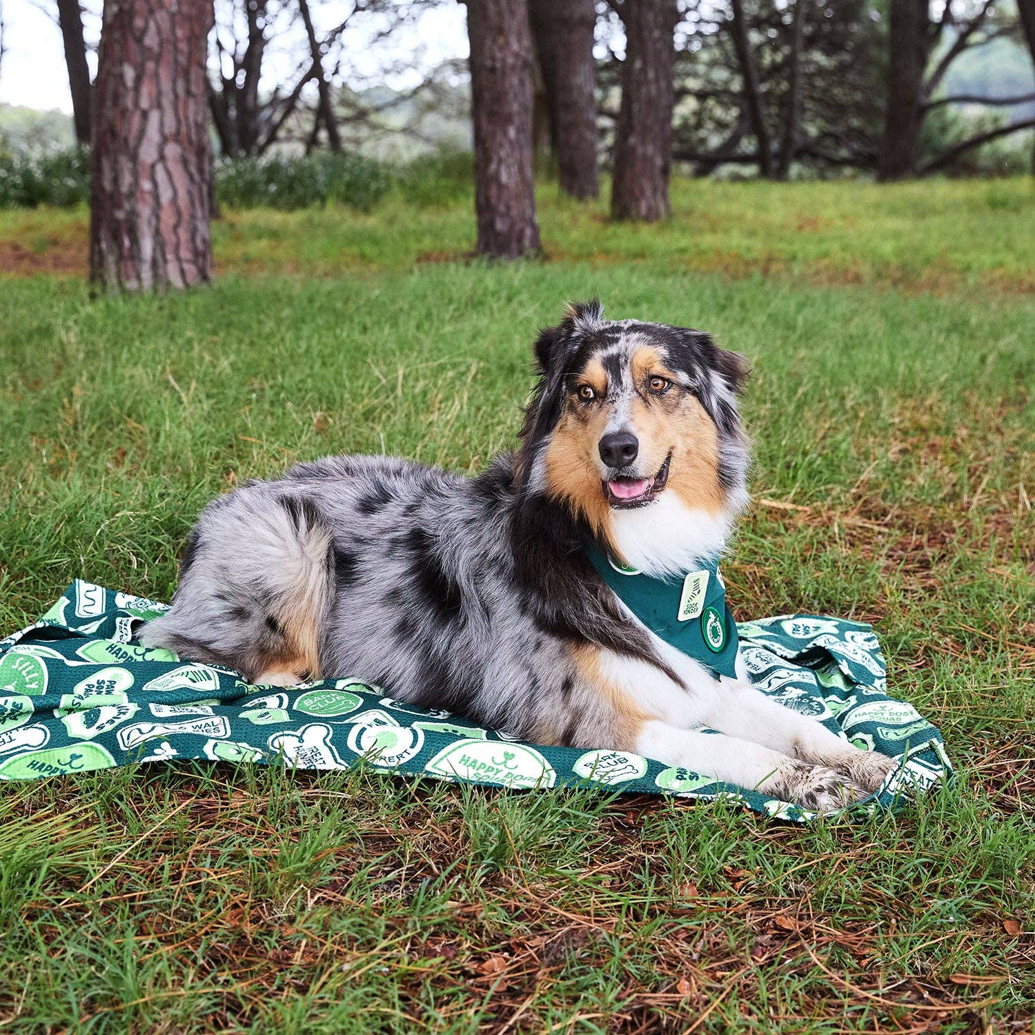 Dock & Bay Dog Towel - Dog & Bay Club