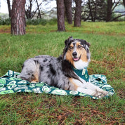 Dock & Bay Dog Towel - Dog & Bay Club