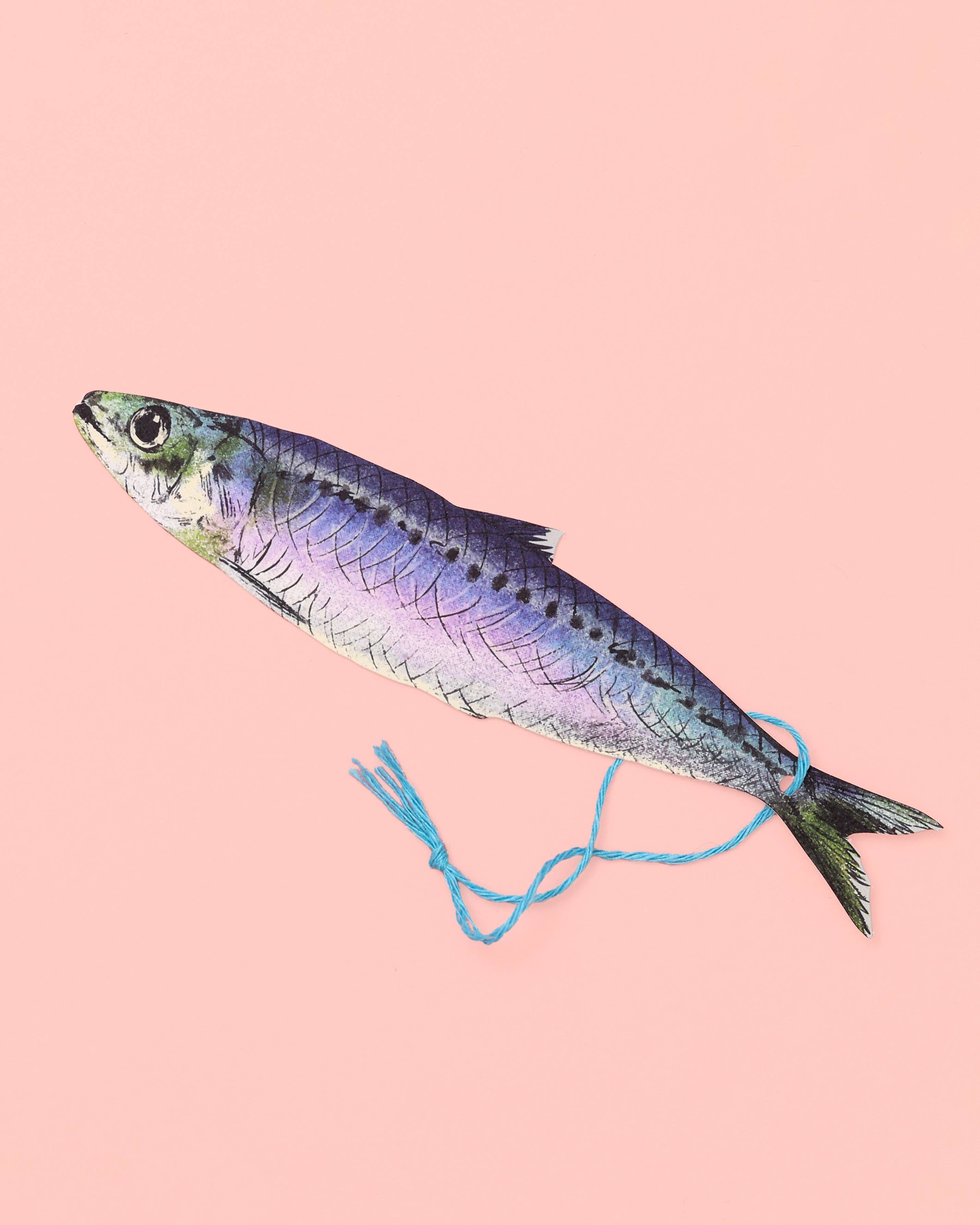 Sardine Gift Tags (Pack of 8)