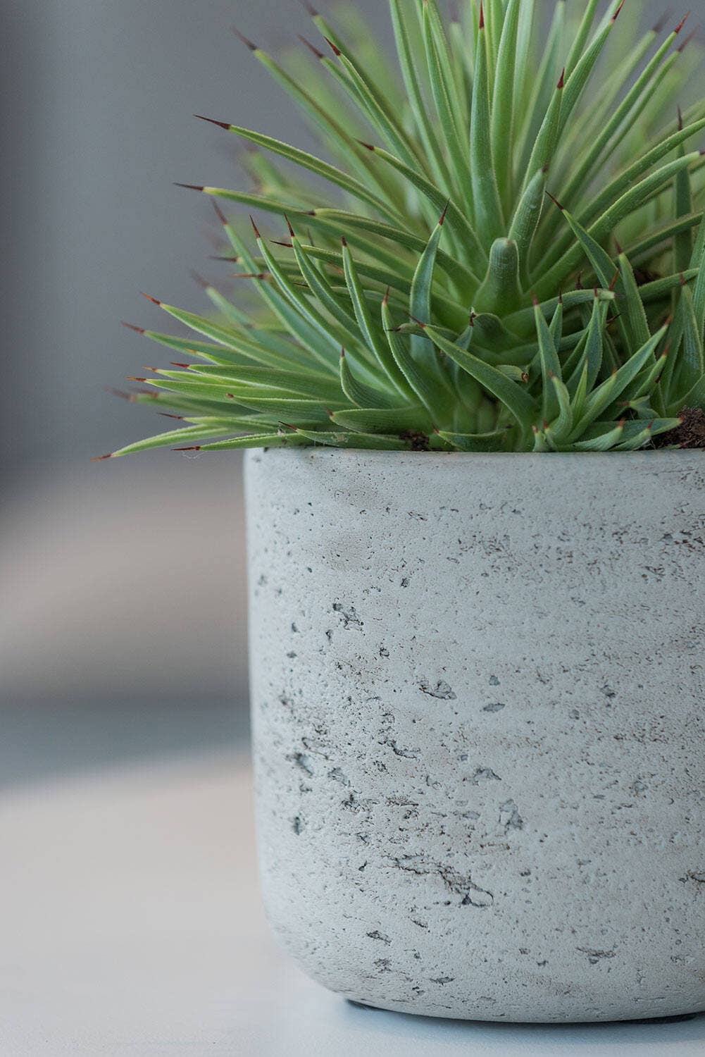 Planter Round Charlie S Grey Washed Ø15cm x H14,5cm