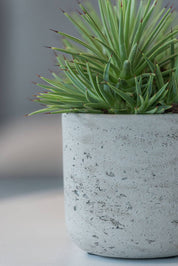 Planter Round Charlie S Grey Washed Ø15cm x H14,5cm