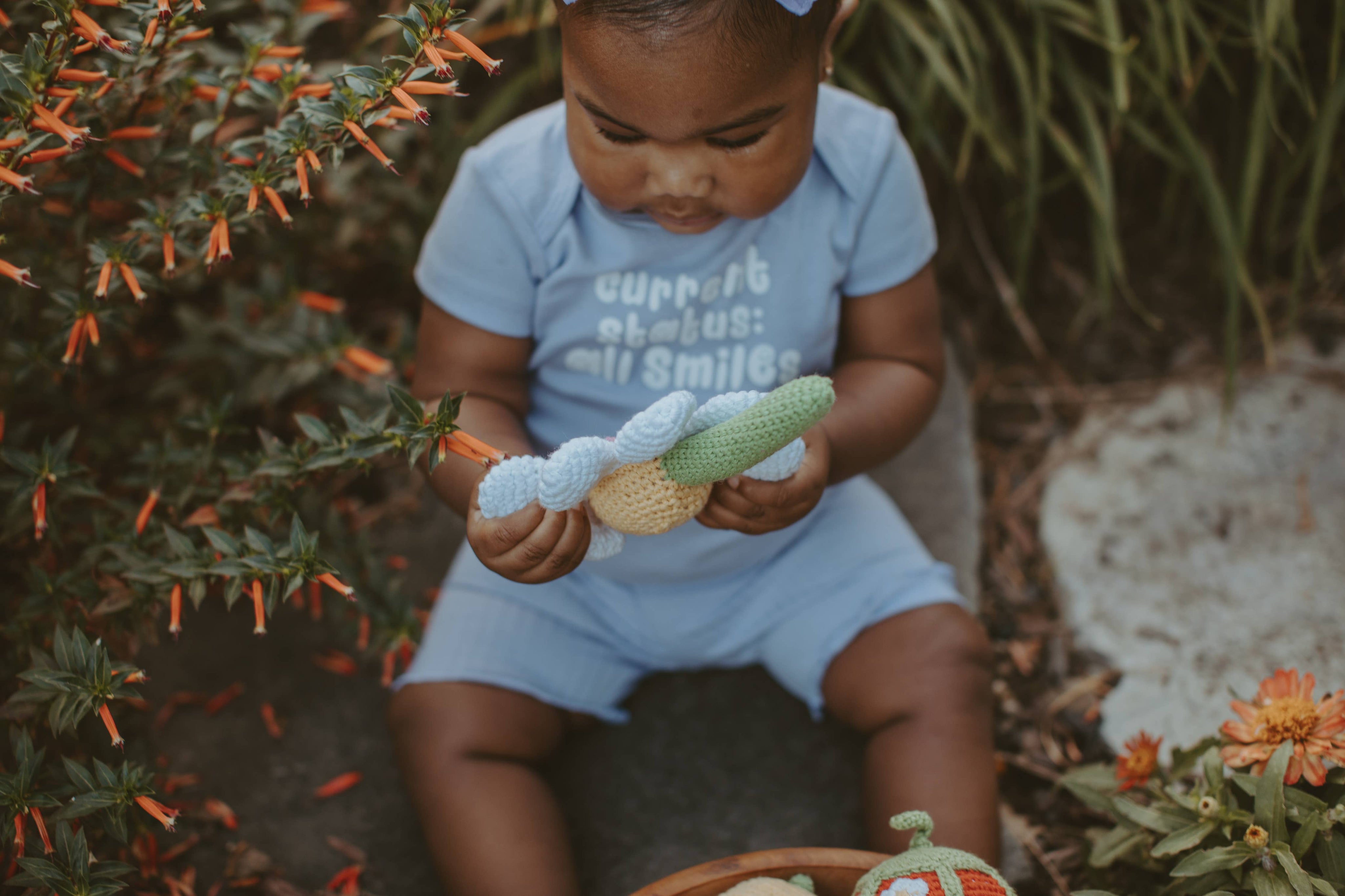 Baby Toy Friendly tooth pillow (with pocket)
