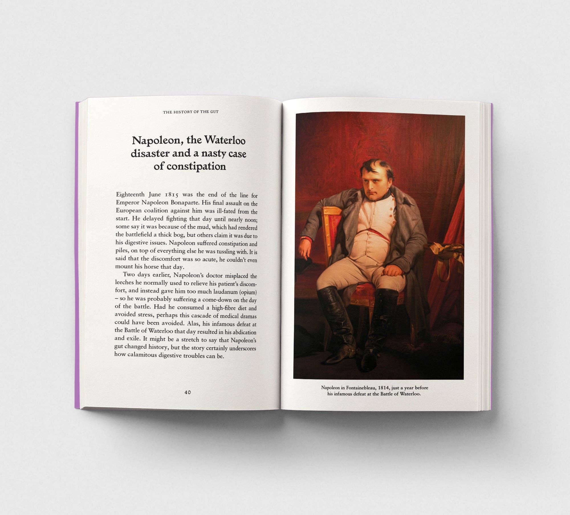 The Gut, A Pocket Primer