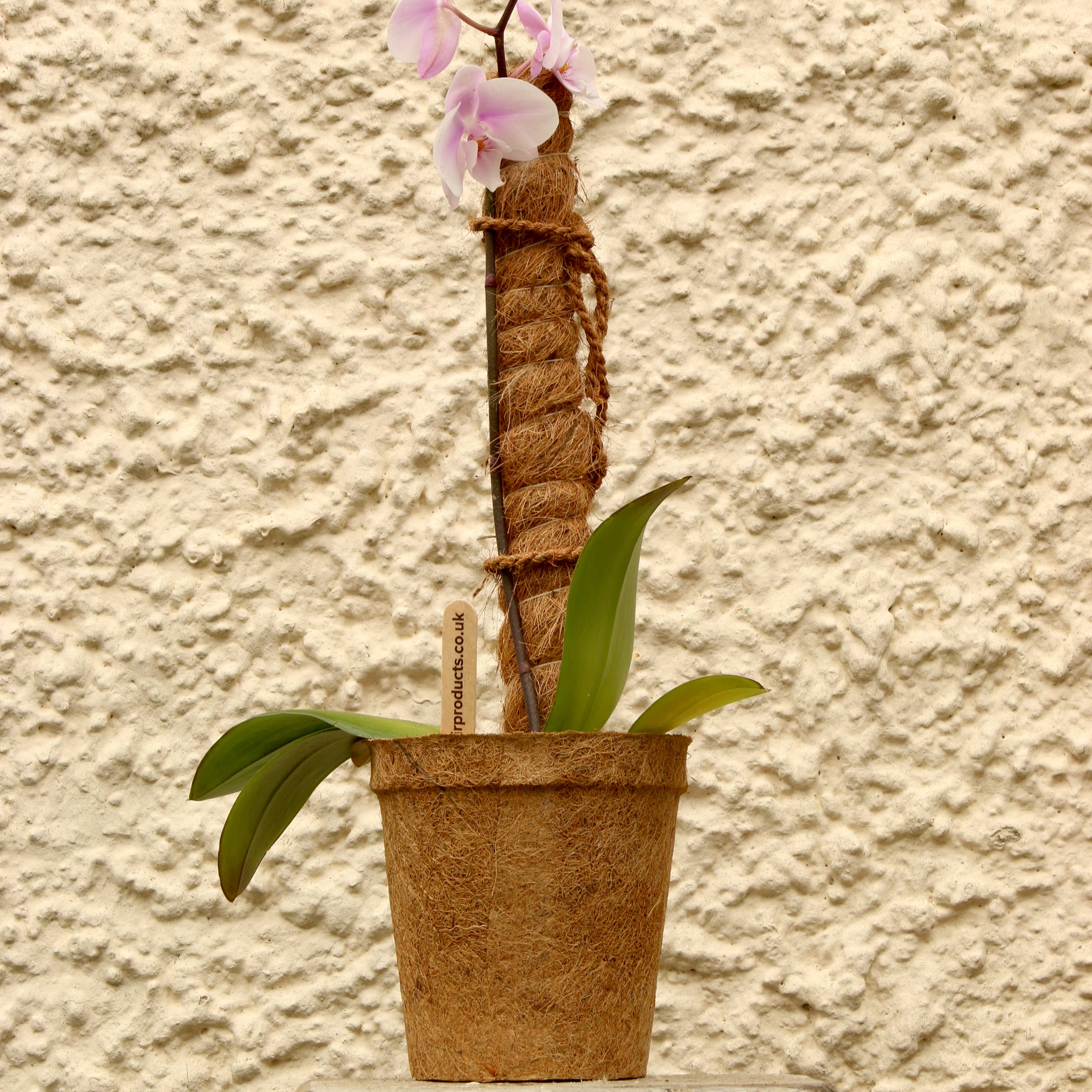 Support Pole for Plants |  Growpoles | Monstera poles