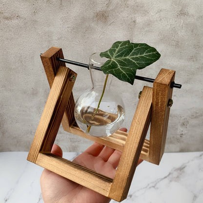 Glass Planter Bulb Vase with Wooden Stand | Single