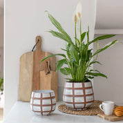 Moda Wax Relief Bowl Planter