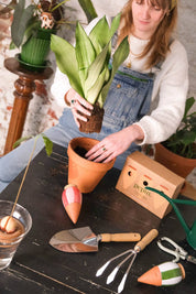 Box Trio Mini Ollas | The Striped