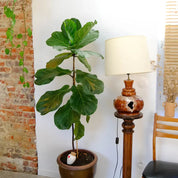 Olla Plant Waterer |  Heart